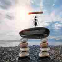 流​量﻿分‍析​工​具​有﻿哪﻿些‌